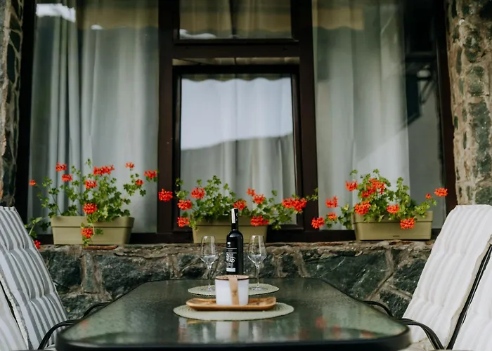 公寓 & Rafting Boracko Jezero 科尼茨