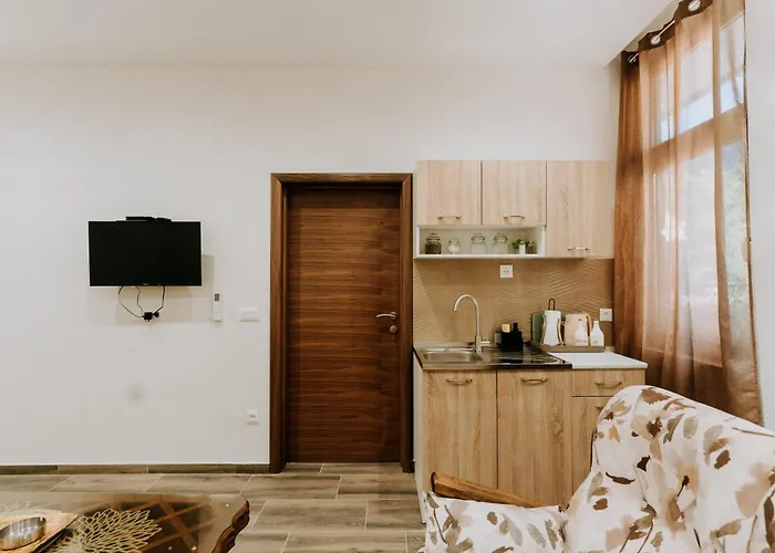 & Rafting Boracko Jezero 公寓 科尼茨